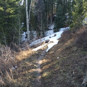 Hiking in Grand Teton National Park