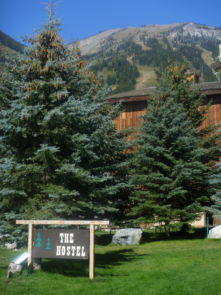The Hostel exterior surrounded by pine trees and mountain views