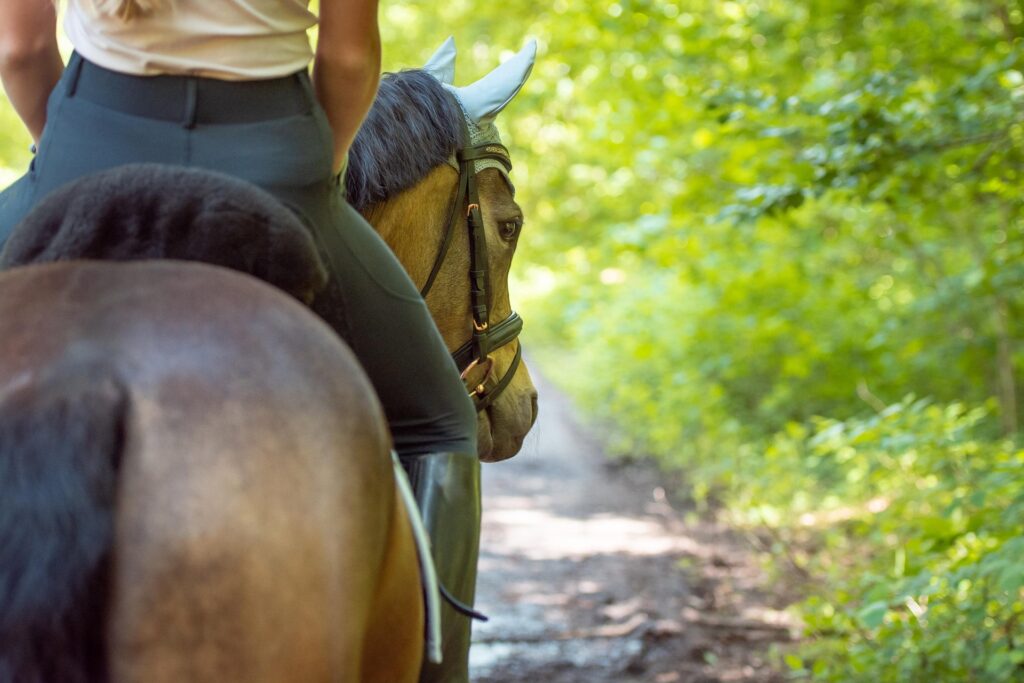 Close-up of horseback rider on a wooded trail in the summer near Teton Village