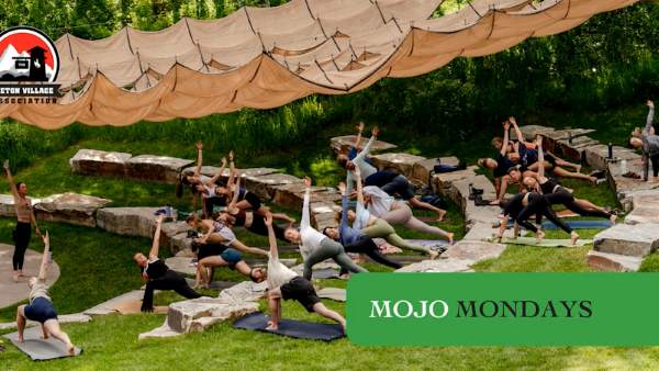 An outdoor yoga class